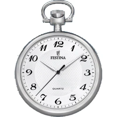 Afbeelding van Festina F2020/1 Zakhorloge Staal Zilverkleurig Ø 48 mm