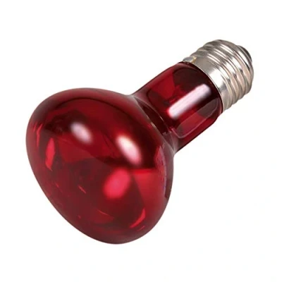 Afbeelding van Trixie Infrarood Warmtevleklamp, 35 Watt, 63 x 100 mm