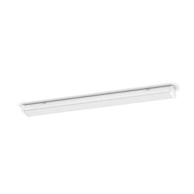Afbeelding van Philips Projectline WP W12L118 5300lm 4000K LED lamp voor vochtige ruimte vast ingebouwd 50 W Natuurwit Wit