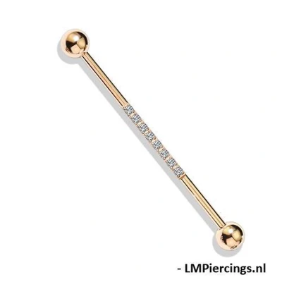 Afbeelding van Industrial piercing CNC setrose rose gold plated