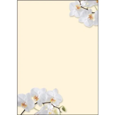 Afbeelding van motiefpapier Sigel A4 90grs pak a 50 vel White Orchid