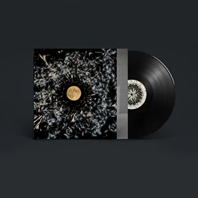 Afbeelding van Lisa O&#039;Neill All of This is Chance (LP)