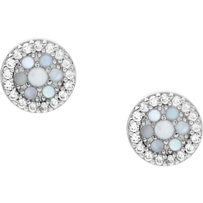 Afbeelding van Fossil JFS00518040 Oorknoppen Glitz zilver parelmoer zilverkleurig wit