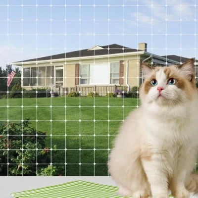 Afbeelding van MEYAGOT Balkonnet voor katten, 10 x 3 m, beschermingsnet kattennet, transparant, kattenbeschermingsnet terrassen, ramen, balkons