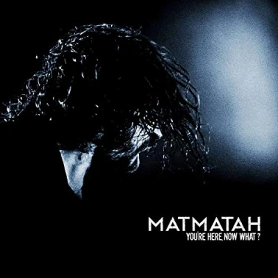 Afbeelding van Matmatah You&#039;re Here, Now What? (2 LPs)