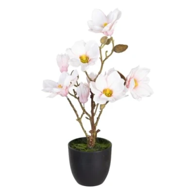 Afbeelding van Decoratieve plant Polyester Polyethyleen Ijzer 25 x 49 cm Magnolia