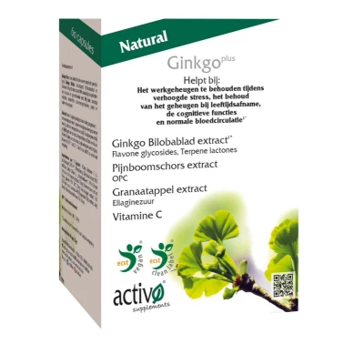 Afbeelding van Activo Ginkgo Plus 60TB