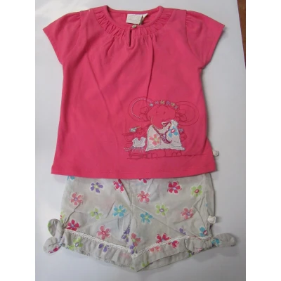 Afbeelding van Noukie&#039;s T shirt + short Meisje Fuchia grijst gebloemd 2 jaar 92