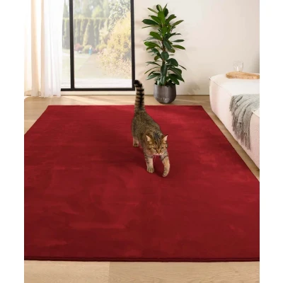 Afbeelding van Zacht Tapijt/Vloerkleed Plush Rood 80x150 Cm
