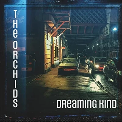 Afbeelding van Orchids Dreaming Kind (LP)
