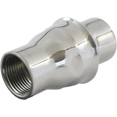 Afbeelding van G1&#039;&#039; RVS 304 Terugslagklep FKM (Lichte Veer) 0.03 16bar CLIS3E 100
