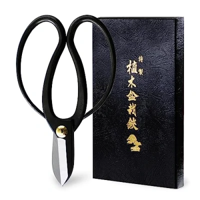 Afbeelding van Wazakura Koryu Ikebana bloemenschaar 6,7 inch (170 mm) GEMAAKT in JAPAN Japanse bloemschikkers, Kado Hasami schaar zwart