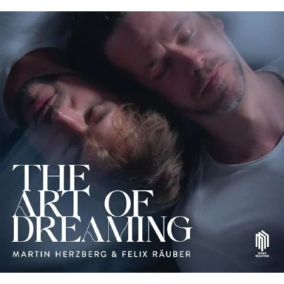 Afbeelding van Martin Herzberg &amp; Felix Räuber The Art Of Dreaming (CD)