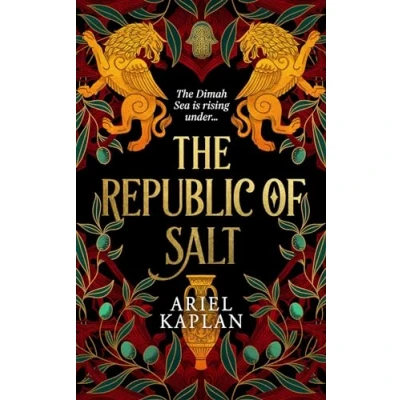 Afbeelding van The Mirror Realm Cycle2 Republic of Salt