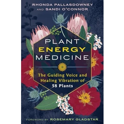 Afbeelding van Plant Energy Medicine