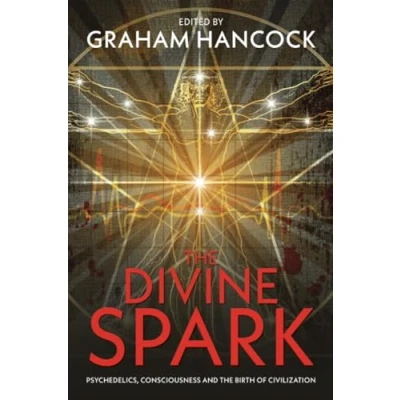 Afbeelding van the Divine Spark: Psychedelics, Consciousness and Birth of Civilization