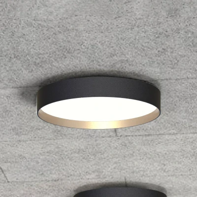 Afbeelding van LOOM DESIGN LED plafondlamp Lucia zwart/goudkleurig Ø 35 cm