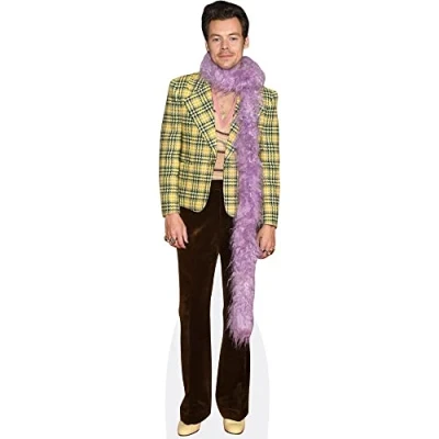 Afbeelding van Harry E. Styles (Feather Boa) Mini Knipsel
