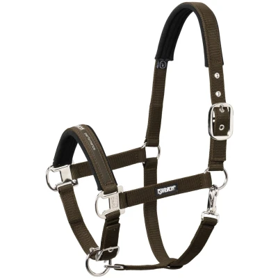 Afbeelding van Eskadron Halster pin buckle