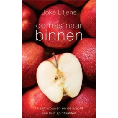 Afbeelding van De reis naar binnen