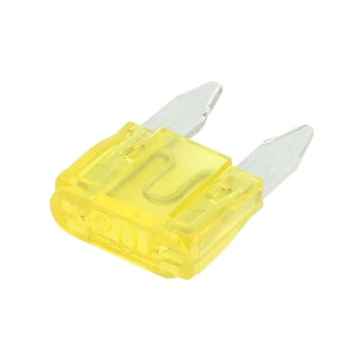Afbeelding van Set zekeringen MAMMOOTH MMT O033 0020A/K100