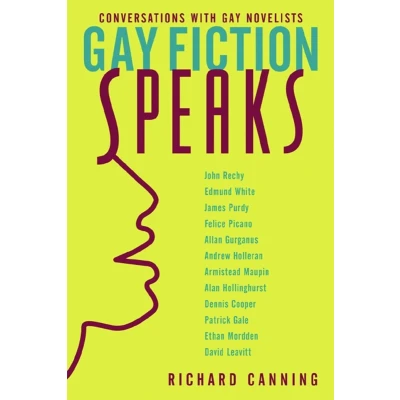 Afbeelding van Gay Fiction Speaks Conversations with Novelists