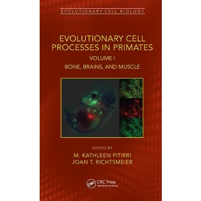 Afbeelding van Evolutionary Cell Processes in Primates: Genes, Skin, Energetics, Breathing, and Feeding, Volume II