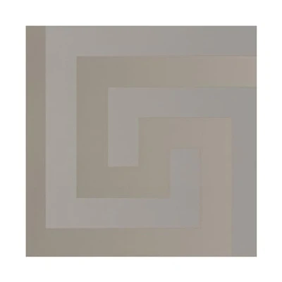 Afbeelding van &quot;GRIEKSE SLEUTEL&quot; SATIJN GLANZEND BEHANG Design zilver grijs A.S. Création Versace 5