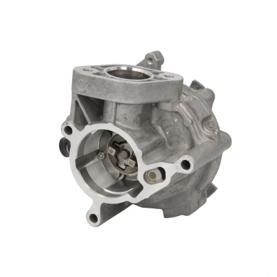 Afbeelding van Onderdrukpomp, remsysteem PIERBURG 7.02551.53.0, voor o.a. Audi, VW, SKODA, SEAT
