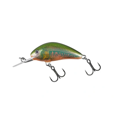 Afbeelding van Salmo Floating Hornet 4cm 3g (diepte: 1.5 3.1m) Soort : Holographic Oikawa