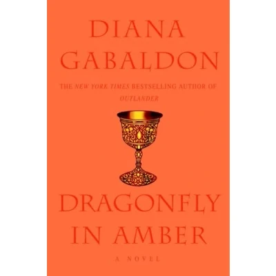 Afbeelding van Dragonfly In Amber