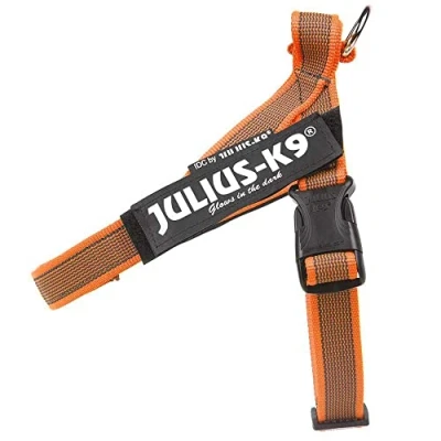 Afbeelding van Julius K9 IDC®Color&amp;Gray® riemtuig, XL maat 2, oranje