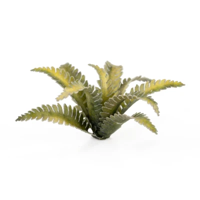 Afbeelding van Deer Fern Dubbelloof Varen Laserplants 38x GGLP DF