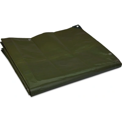 Afbeelding van Relaxdays afdekzeil 200g/m², dekzeil met ogen, waterdicht, scheurbestendig, zeildoek voor tuin, auto, 4 x 5 m, groen