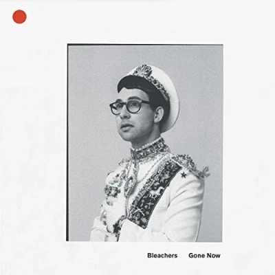 Afbeelding van Bleachers Gone Now (LP)