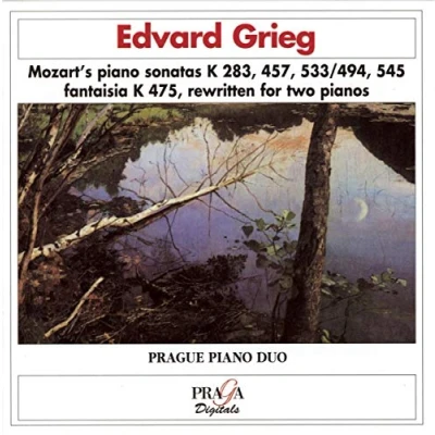 Afbeelding van Grieg: Mozart&#039;s piano sonatas rewritten for two pianos
