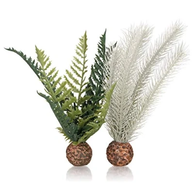 Afbeelding van biOrb Distel Varen Grijs/Groen S