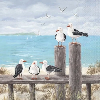 Afbeelding van Seagulls on the dock