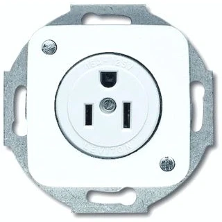 Afbeelding van Abb busch jaeger wandcontactdoos centraalplaat nema 15a 125 voudig inbouw r alpin 2cka002125a0052