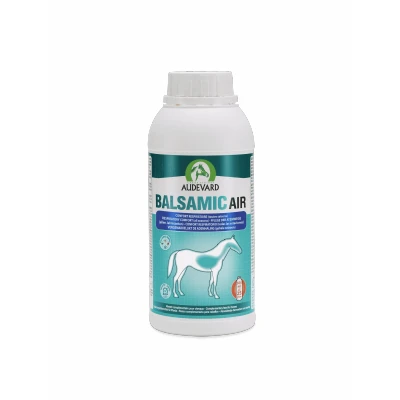 Afbeelding van Audevard Balsamic Air 500 ml