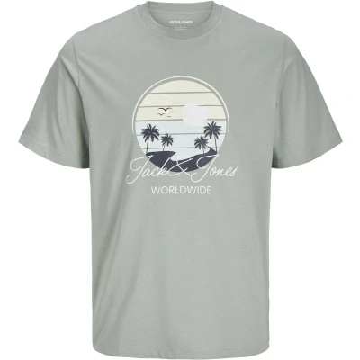 Afbeelding van Jack &amp; Jones Gedruckt Tshirt print, Heren, Maat: XL, Iceberg green