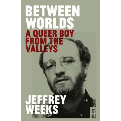 Afbeelding van Between Worlds: A Queer Boy from the Valleys
