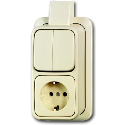 Afbeelding van Busch Jaeger BD2000 Seriesch. 2V WCD+RA Creme 2601/5/2300 EAPJ