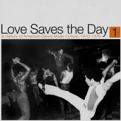 Afbeelding van V/A Love Saves the Day: a History of American Dance Music Culture 1970 1979 Part 1 (2 LPs)