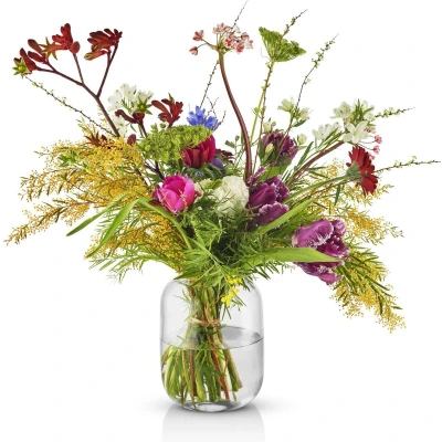 Afbeelding van Vaas Eva Solo Acorn Clear 16,5 cm