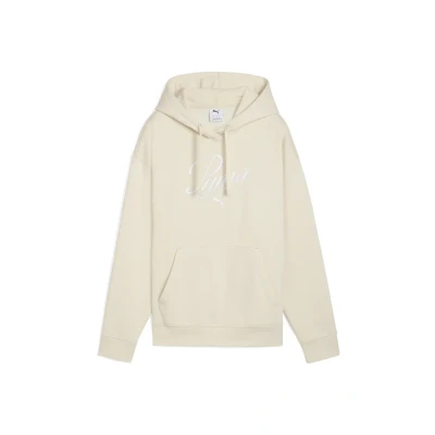 Afbeelding van Puma Hoodie, Dames, Maat: XL, Alpine snow