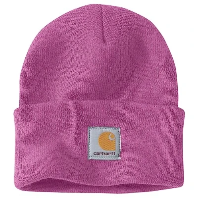 Afbeelding van Carhartt Watch Beanie/Muts Thistle