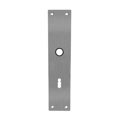 Afbeelding van Intersteel renovatieschild rechthoekig 250x55x2mm sleutelgat 72mm RVS