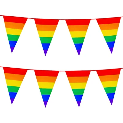 Afbeelding van 2x Stuks Boland PE vlaggenlijn 8m Regenboog Universeel Thema Vlaggenlijnen