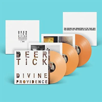 Afbeelding van Deer Tick Divine Providence (3 LP)